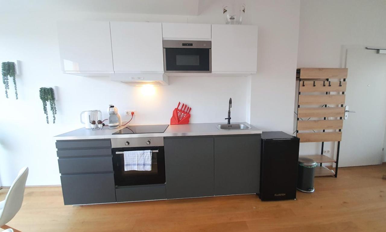 Rooftop Terrace, Free Garage Parking And Pool! Viena Exterior foto